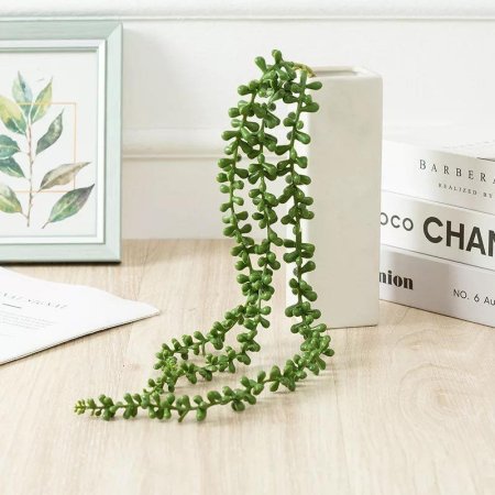 عرق نبات الحصرم الاصطناعي المتدلي