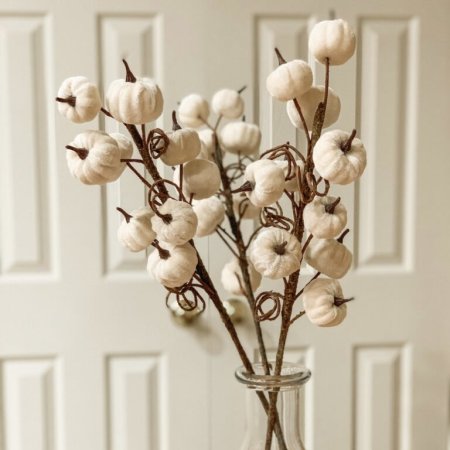 عروق يقطين مخملية