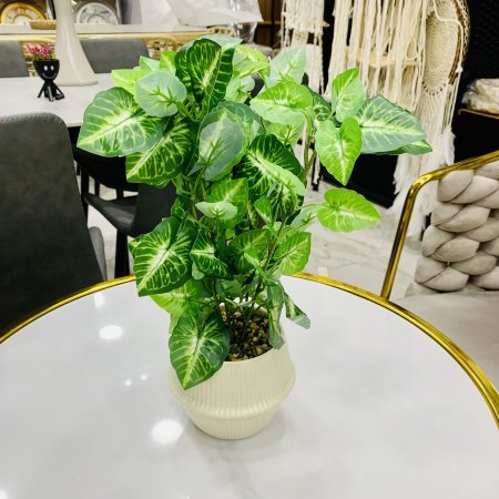 نبتة خضراء صناعية في قوار ابيض