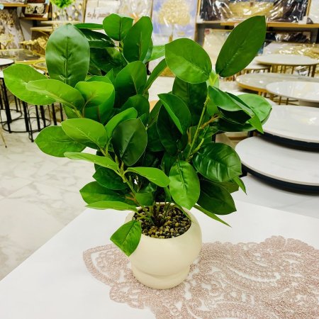 نبات صناعي اخضر في قوار ابيض