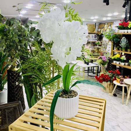 نبتة صناعية زهور بيضاء في قوار ابيض