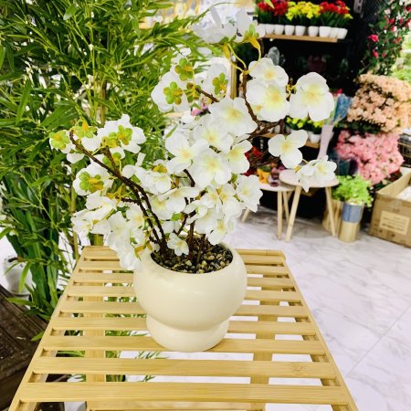 نبتة صناعية زهور بيضاء في قوار